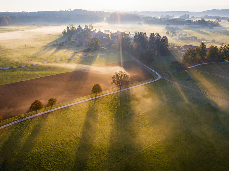 GettyImages Sonnenaufgang über Wiese